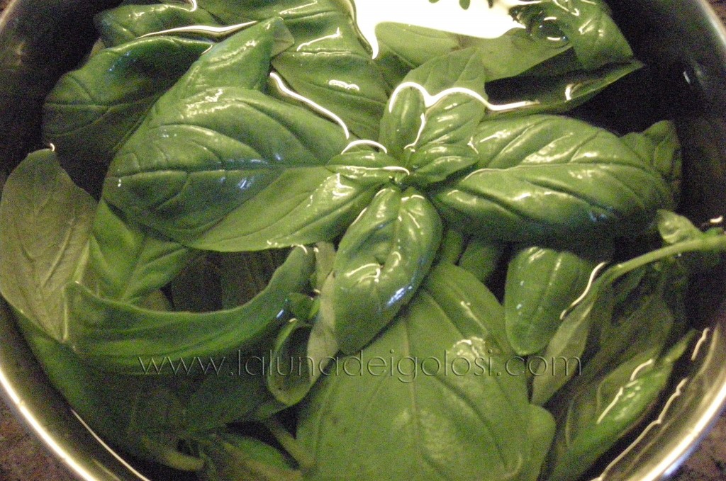 prepara il pesto prepara il pesto