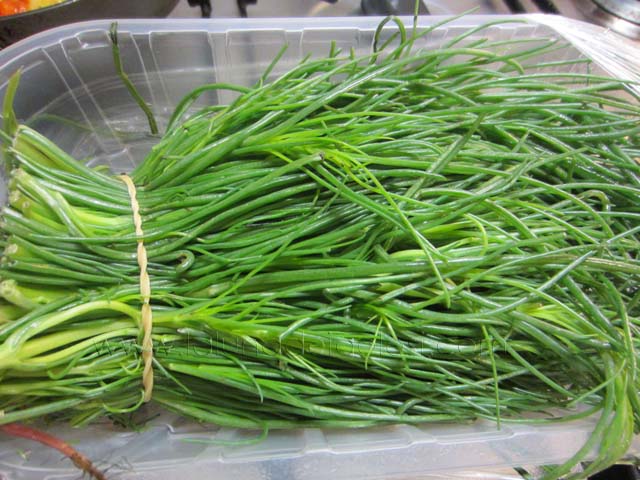 agretti o barba di frate