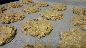 Galletas macrobióticas DIANA: Pon tus galletas en el horno