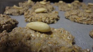 Galletas macrobióticas DIANA...Si te gusta, decoralas con almendras...