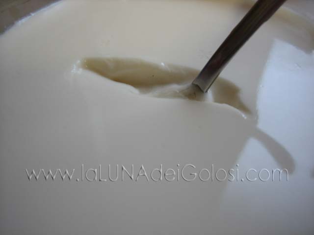 Yogurt fatto in casa: YOGURT ALLA SOIA