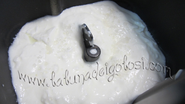 Mettete lo yogurt nel cestello della macchina